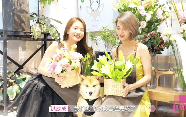 探索知识星球平台——深圳公交362早上几点到宝安中心医院?专属的知识社群
